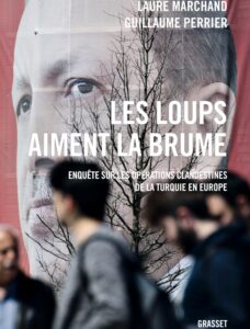 Les loups aiment la brume