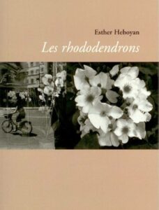 Les rhododendrons